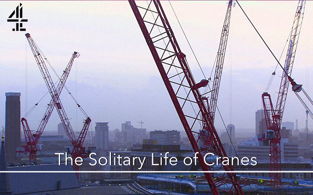 The Solitary Life of&nbsp;Cranes